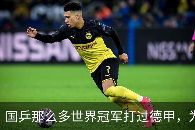 国乒那么多世界冠军打过德甲，为何最后只有樊振东打出了统治力？