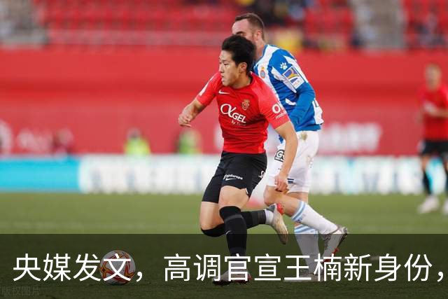 央媒发文，高调官宣王楠新身份，资产查封被带走调查传闻早有真相