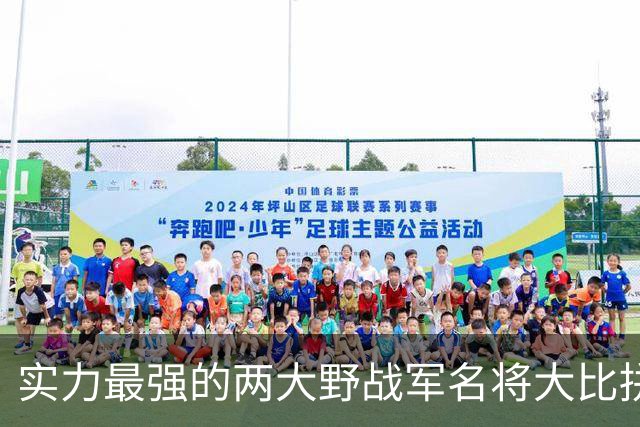 实力最强的两大野战军名将大比拼，到底谁更胜一筹？