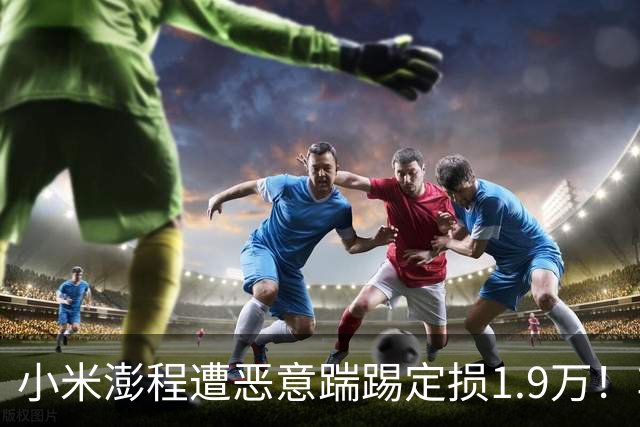 小米澎程遭恶意踹踢定损1.9万！车主放话：绝不手软，绝不和解……