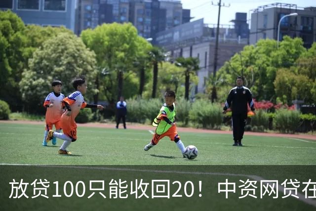 放贷100只能收回20！中资网贷在印度被割惨，亏70亿集体退场……