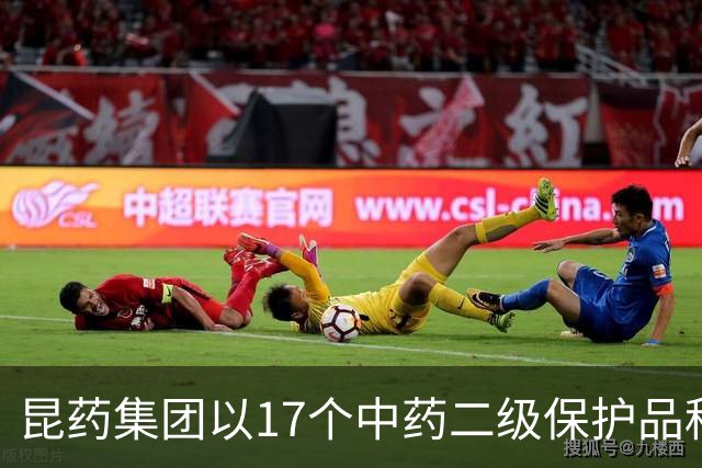 昆药集团以17个中药二级保护品种为支点，构筑银发健康差异化优势