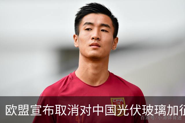欧盟宣布取消对中国光伏玻璃加征关税，本土企业已全部倒闭，没保护必要了