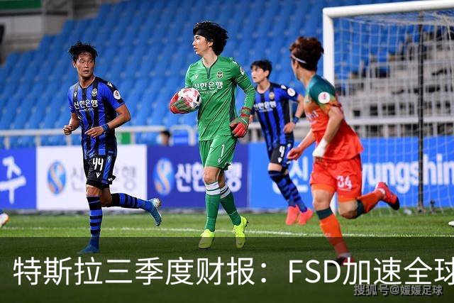 特斯拉三季度财报：FSD加速全球落地，中国市场仍待突破