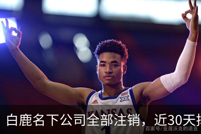 白鹿名下公司全部注销，近30天掉粉超144万，独立运营过渡期引关注