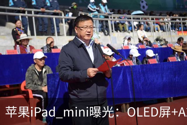 苹果iPad mini曝光：OLED屏+A20芯，售价或涨至799美元
