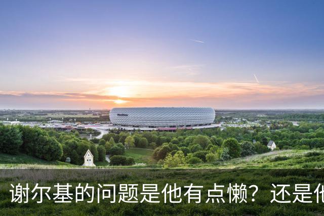 谢尔基的问题是他有点懒？还是他有点挑队友？