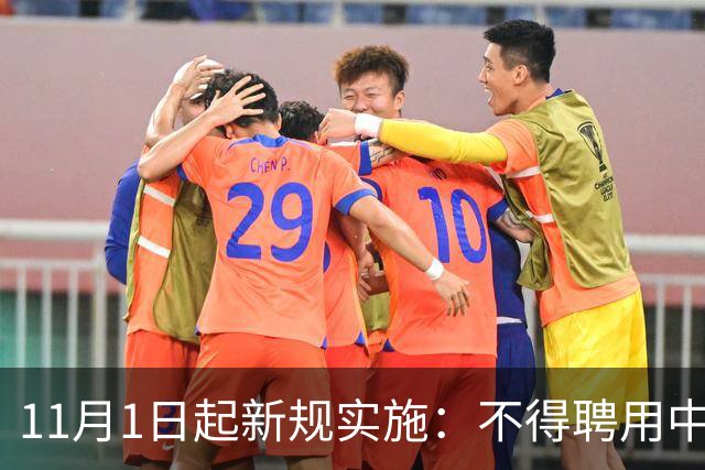 11月1日起新规实施：不得聘用中小学、幼儿园在职教师！